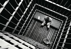 THE RESTRUCTURING OF THE PRISON ENVIRONMENT: A WILL OF THE EXECUTIVE